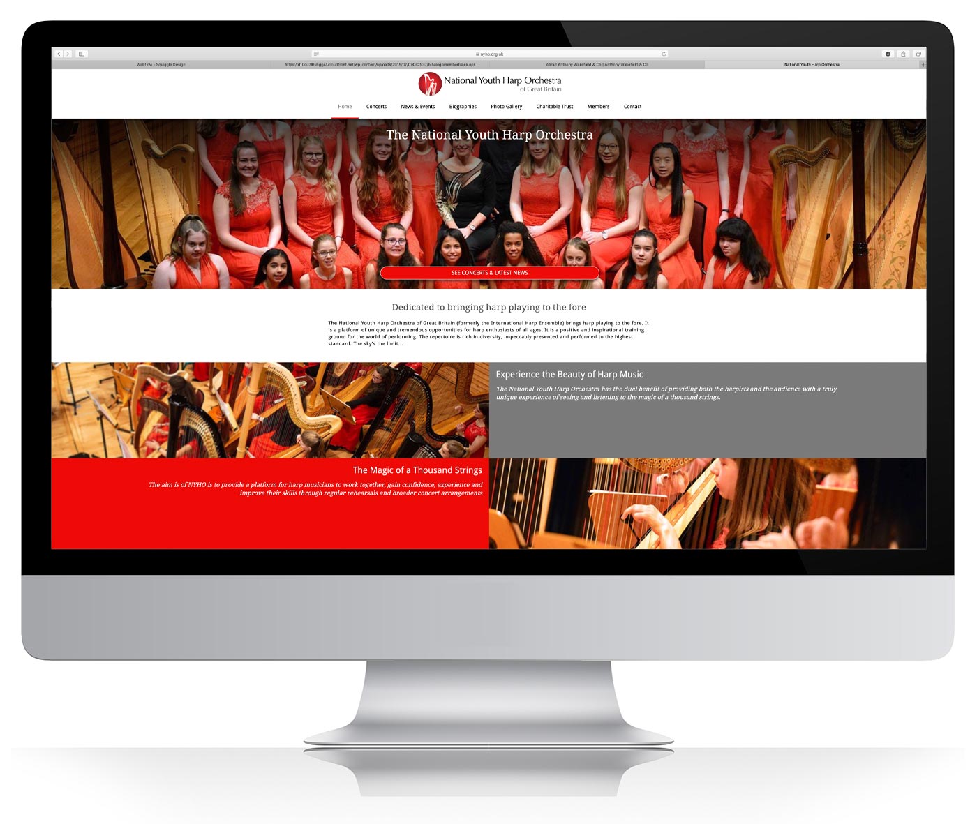 National Youth Harp Orchestra website image