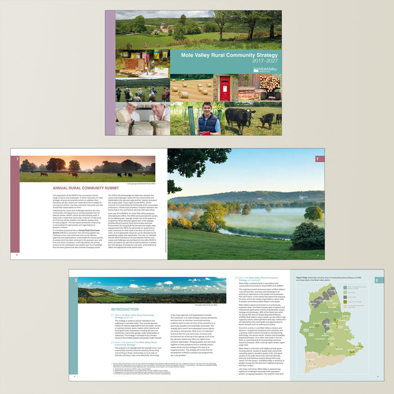 Print Spread examples - Mole Valley Rural Community Strategy